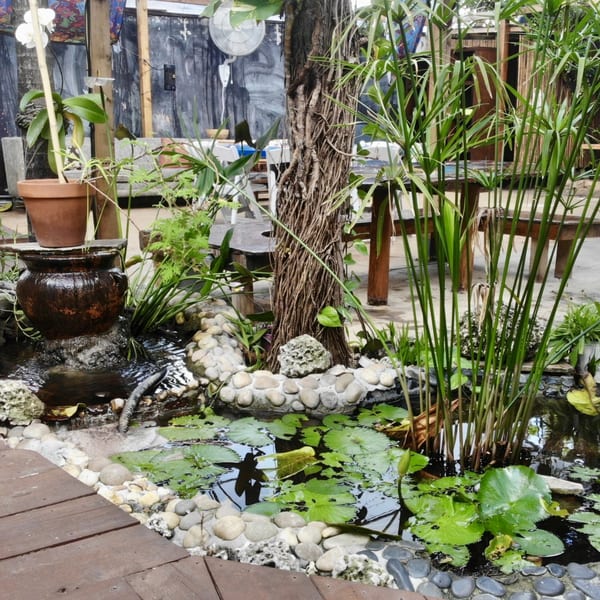 A lush garden pond with lily pads, a small waterfall, and tall green plants, with restaurant seating in the background.